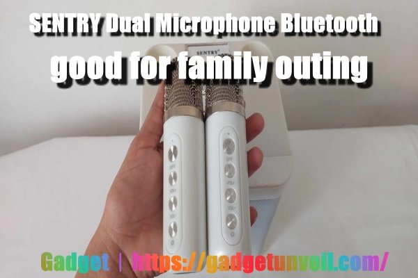 SENTRY Dual Microphone Bluetooth good for family outing